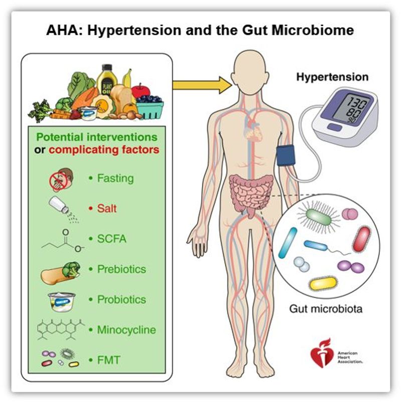 ❤ AHA: HYPERTENSION & GUT MICROBIOME 🦠