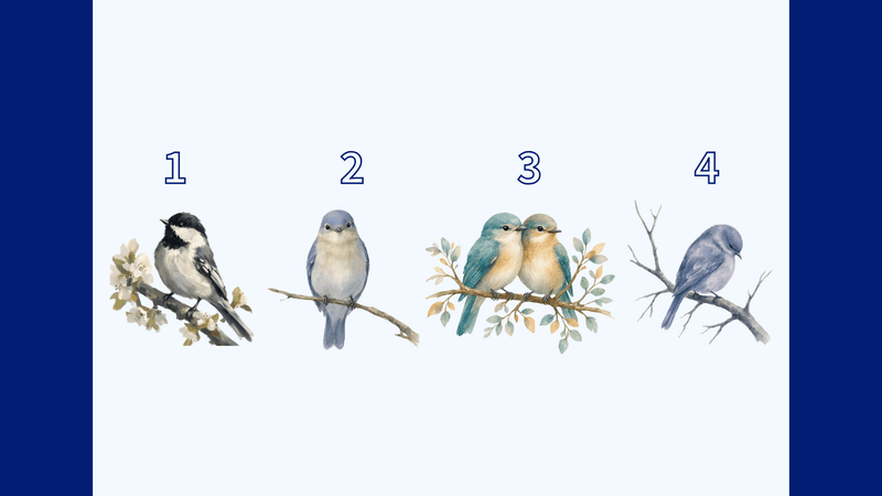 【塔羅占卜】近期一個月的工作運勢 🐦