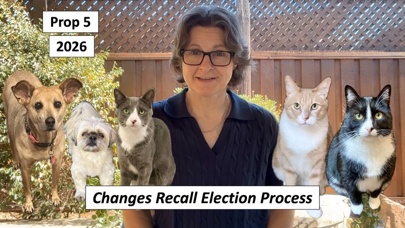 Prop 5: Changes Recall Election Process