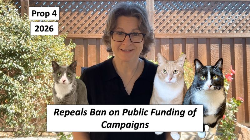 Prop 4: Repeals Ban on Public Campaign Finance Programs