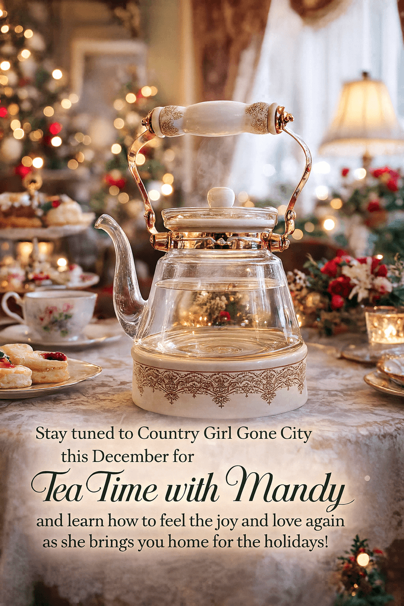 The Country Girl Gone City November Review