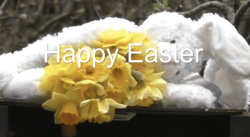 Happy Easter!