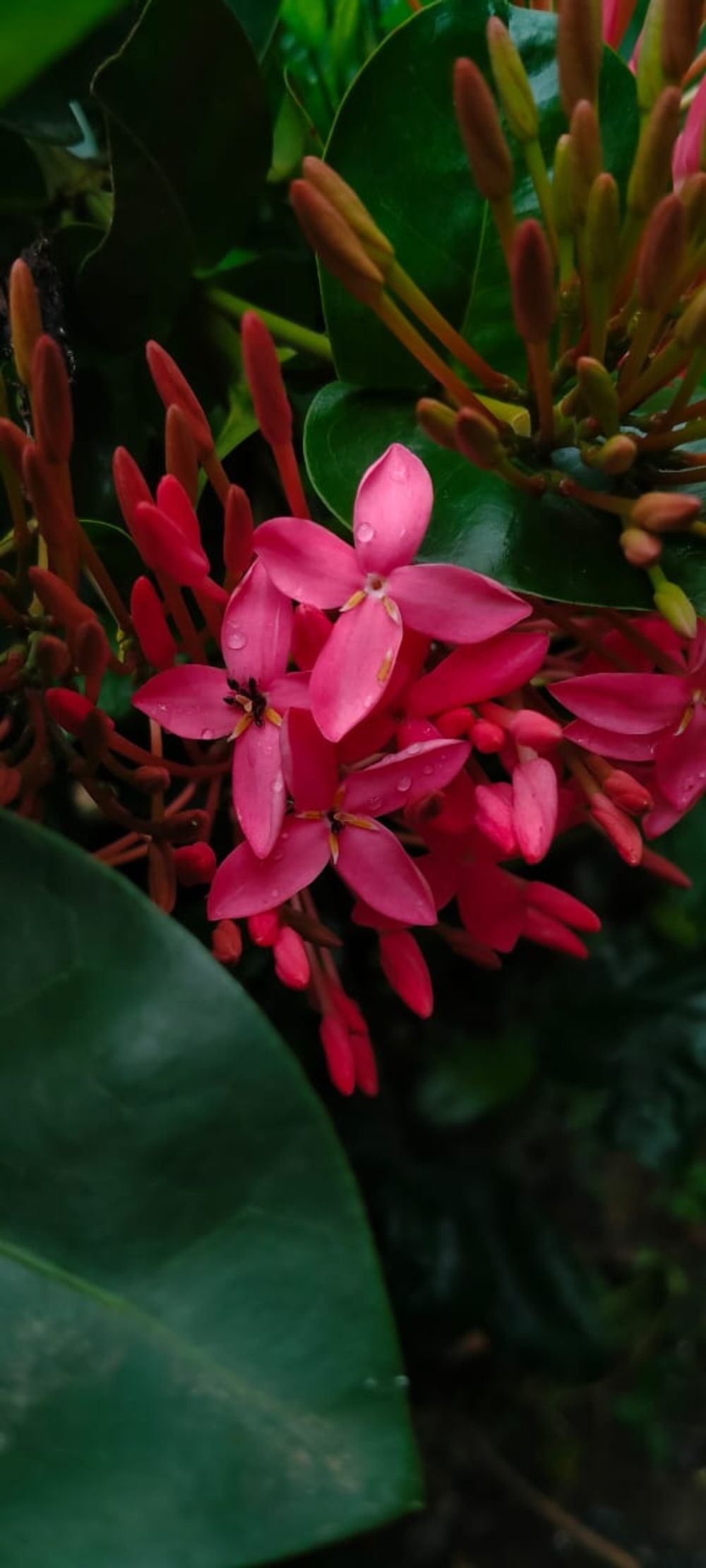 image 14