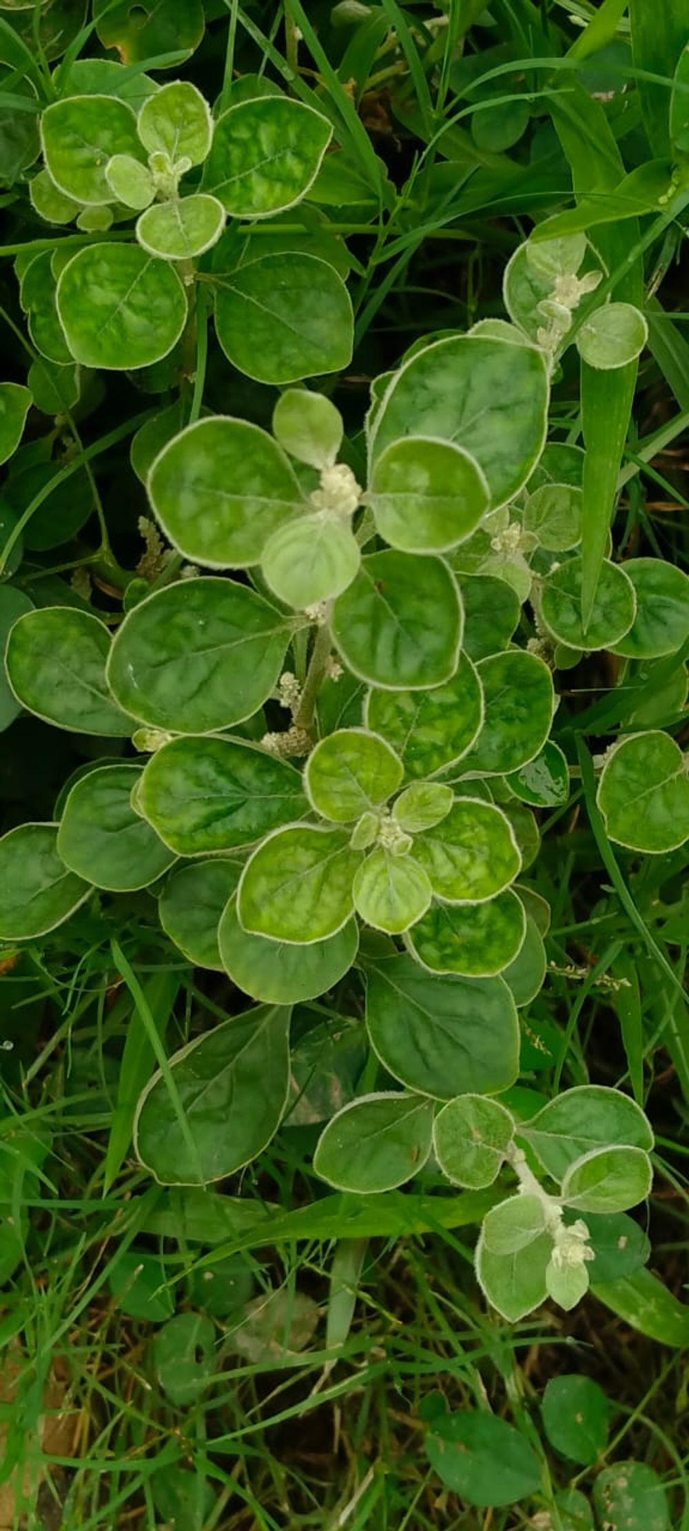image 24