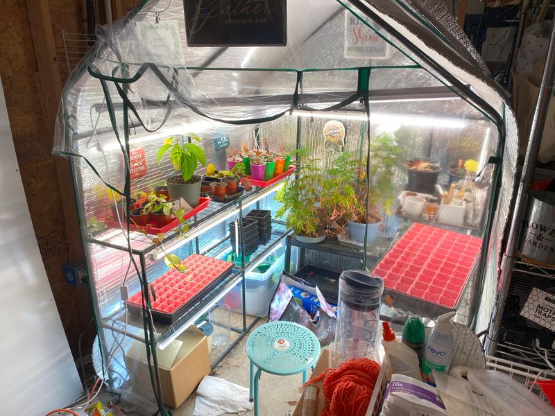 Finally Did My 2024 Garden Recap!