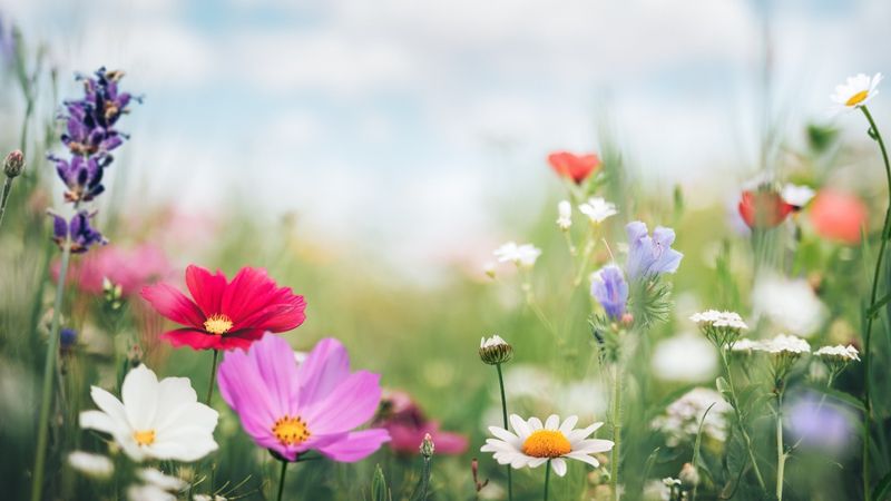 spring has sprung