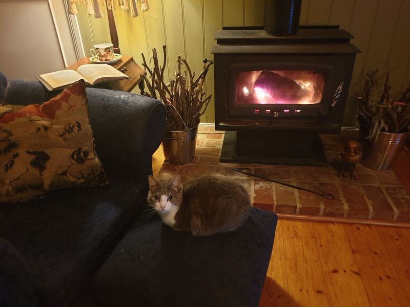 An Unwelcome House Guest...