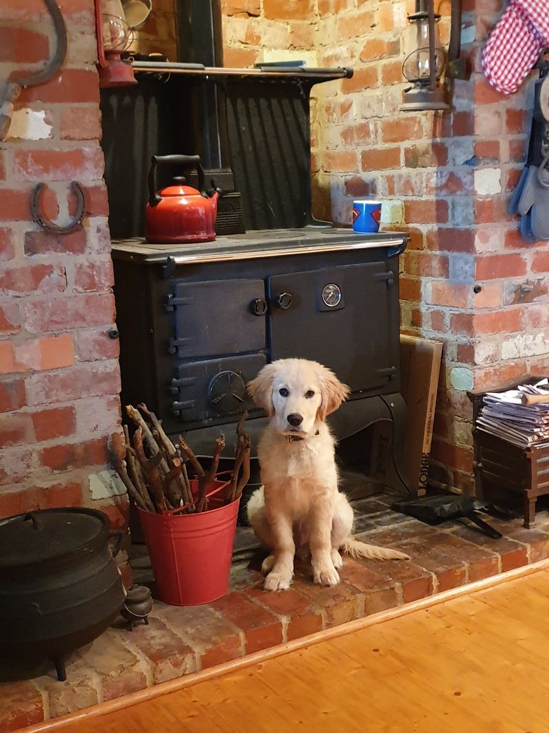The High Cost of Keeping Warm