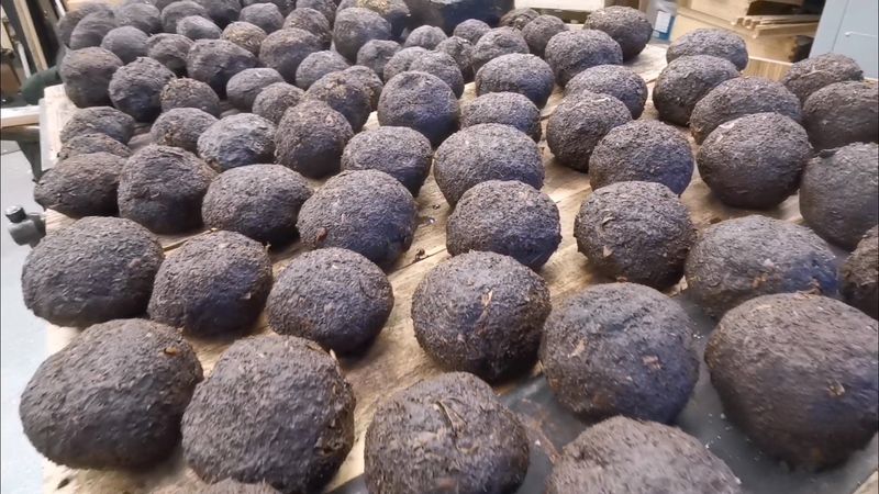 Over 130 Christmas Puddings… in February?