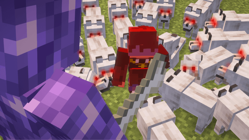 Thumbnail  Portfolio