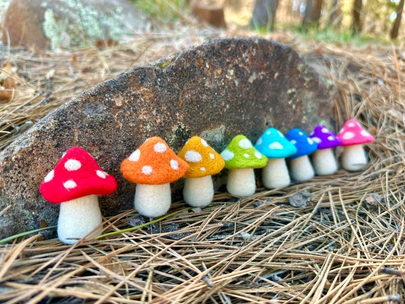 Little Wool Toadstools