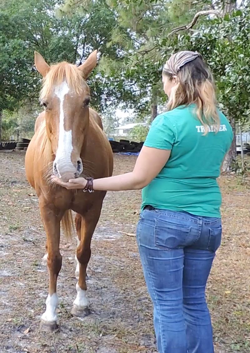 Food Manners vs. Stand Facing Forward