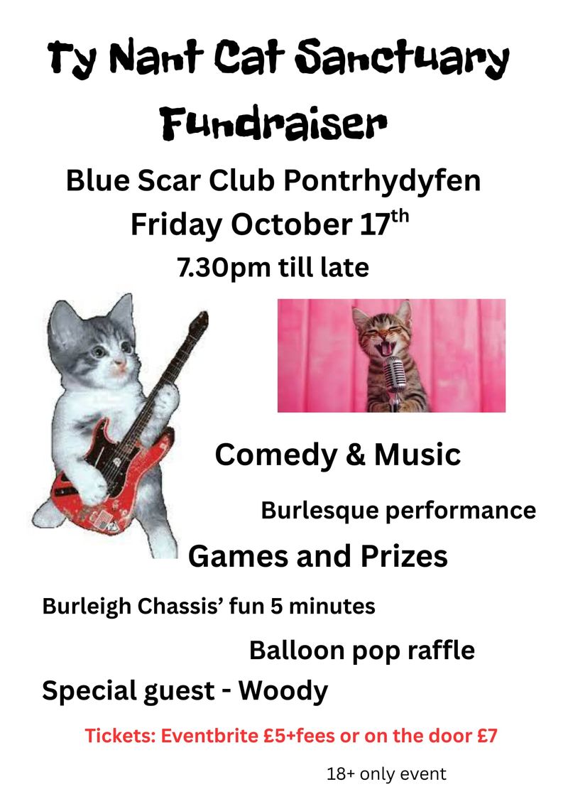 Charity Show Event -Ty Nant Cat Sanctuary