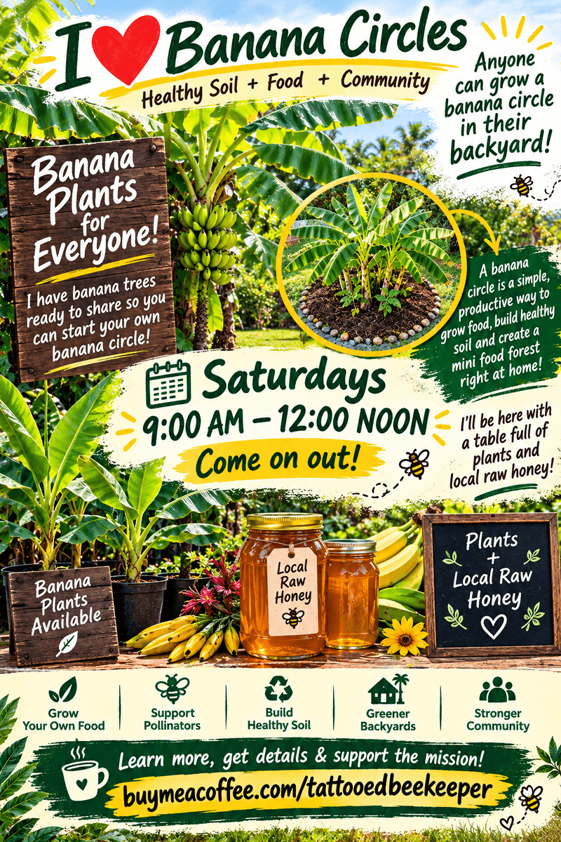 Saturday 9am-12pm!