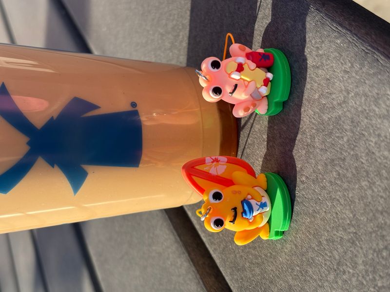 Dutch Bros Mystery Charms