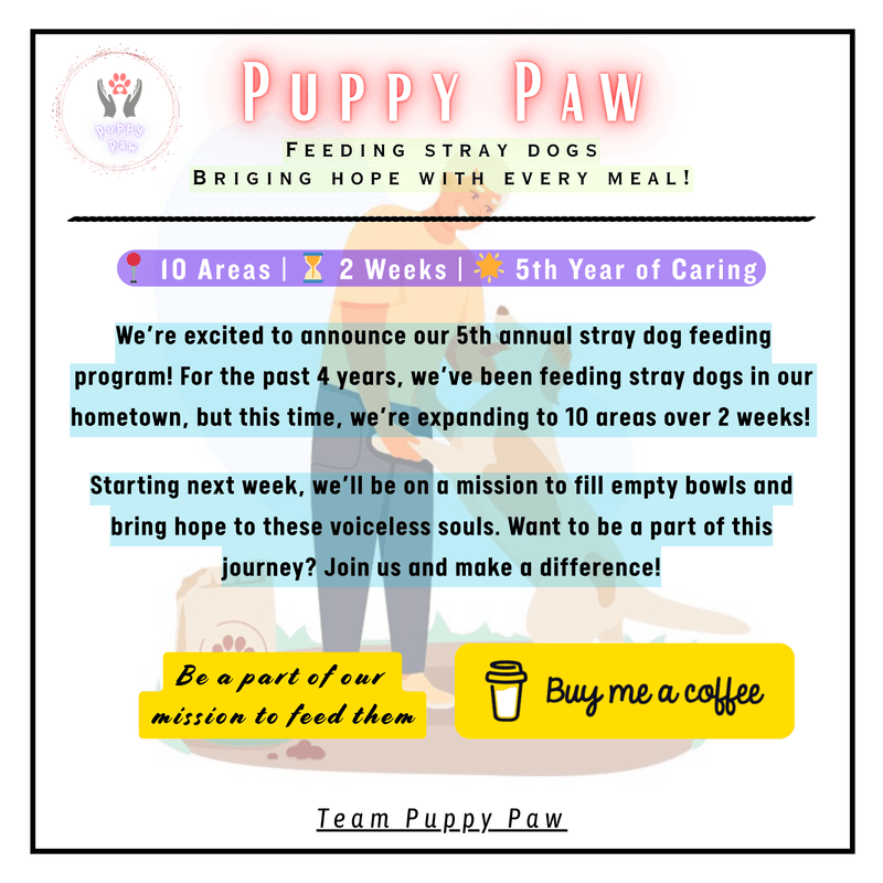 Join with us to Feed Stray Dogs! 🐾