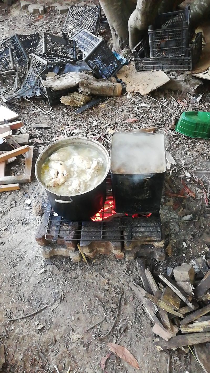 Dinner Time at the Sanctuary