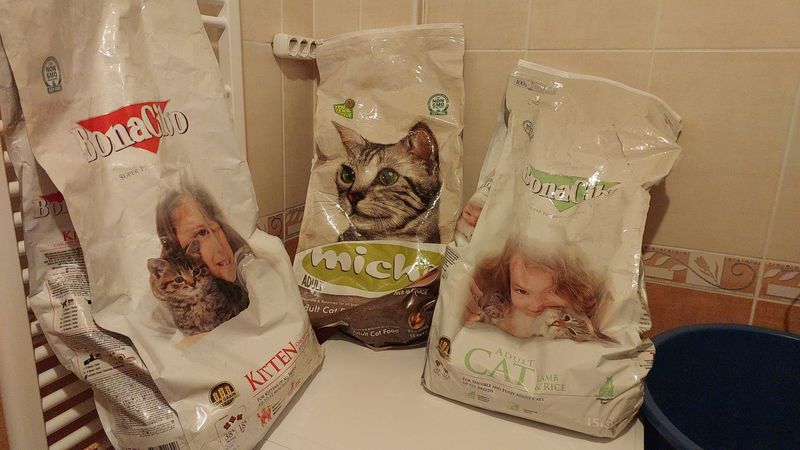 Food and Litter Deliveries Continue 🐾