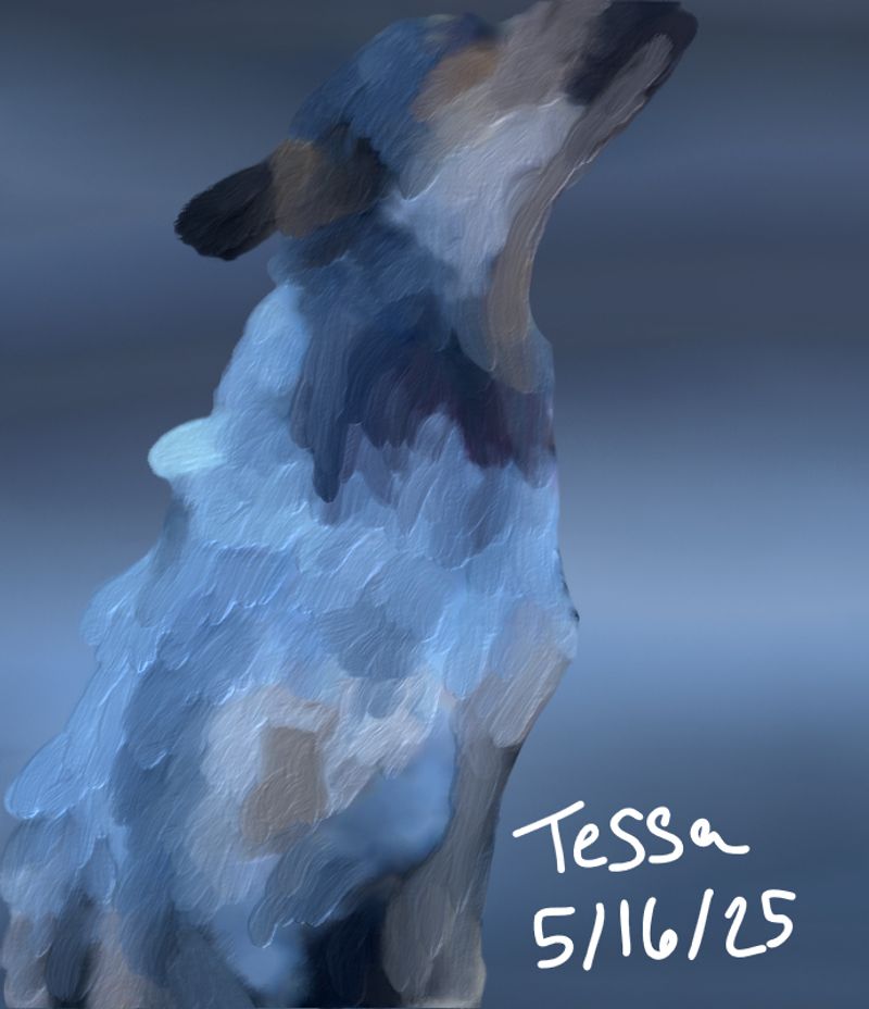 Helping Grieving Pet owners one portrait at a time
