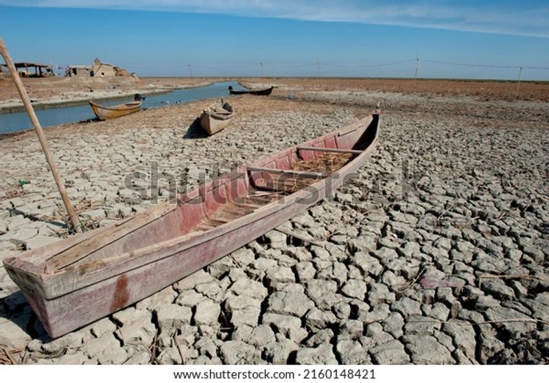Top-Selling Images on Shutterstock