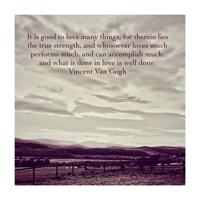 Day Seven.