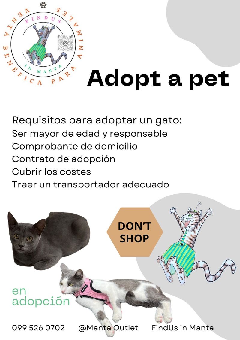 Adopt don’t shop