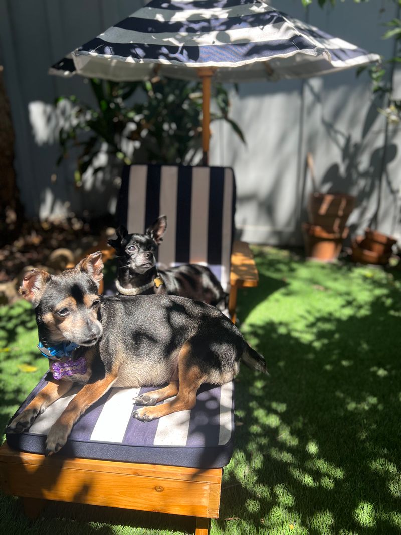 Hailey & Sophie