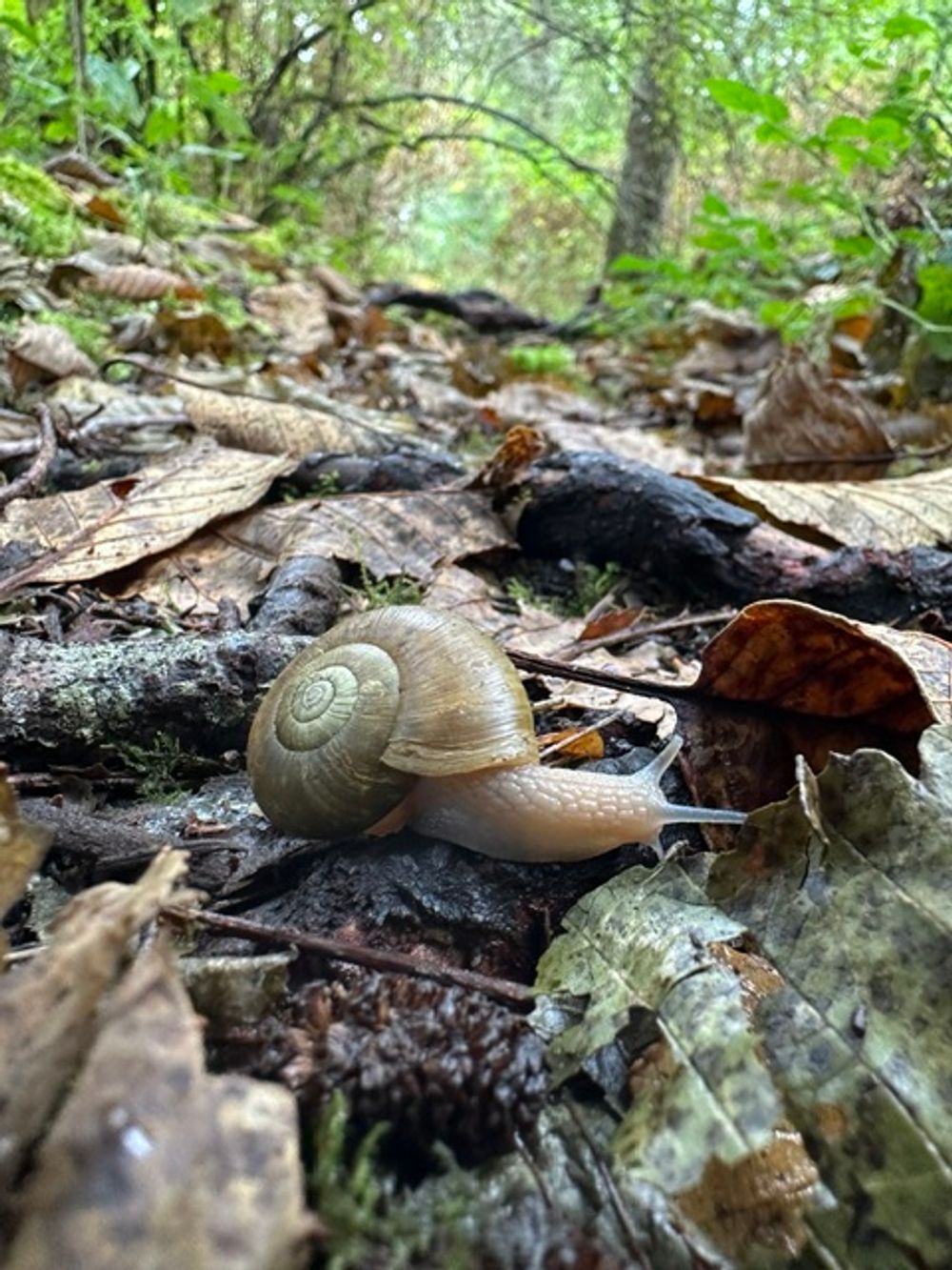 image 14