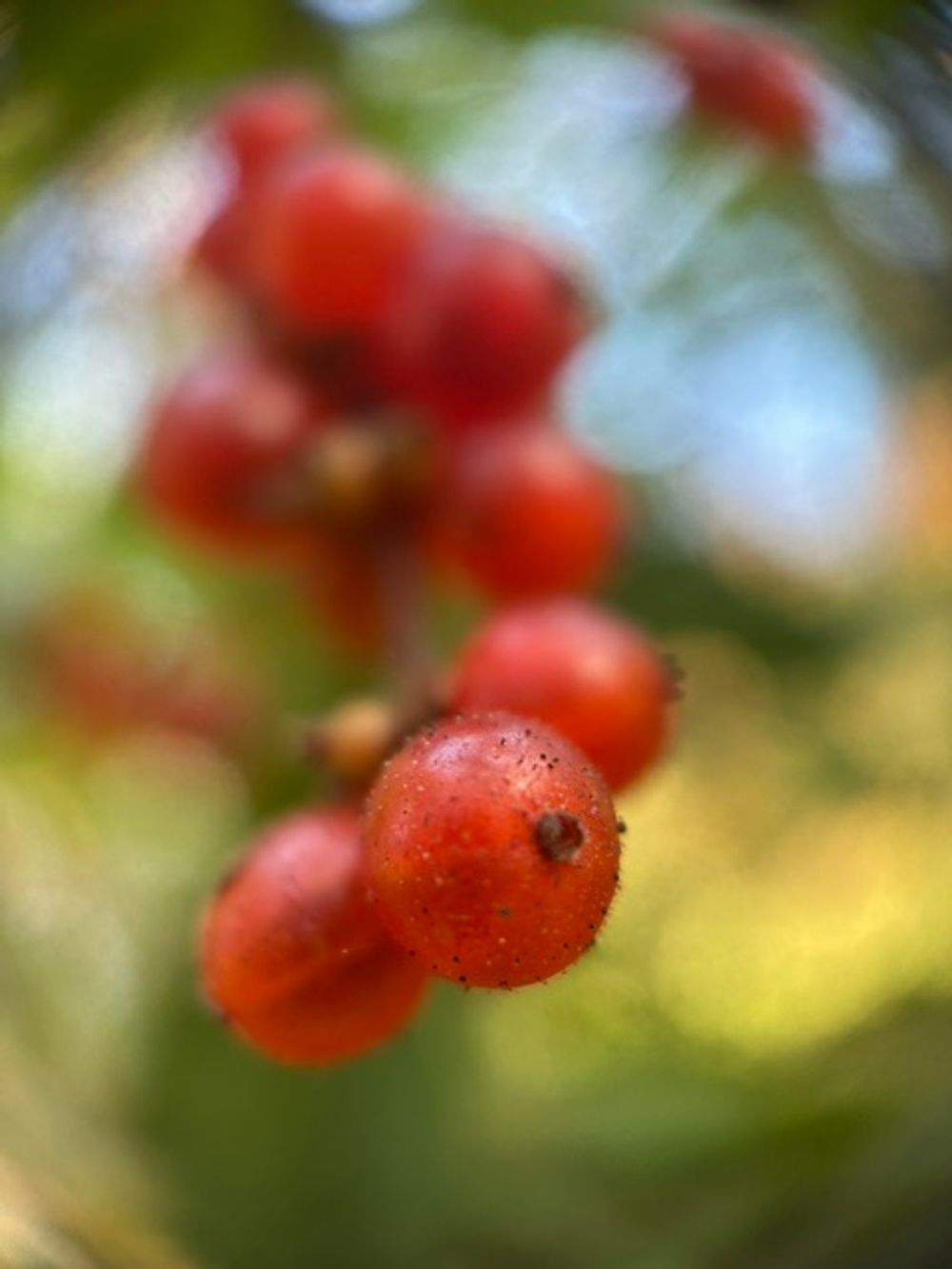image 17