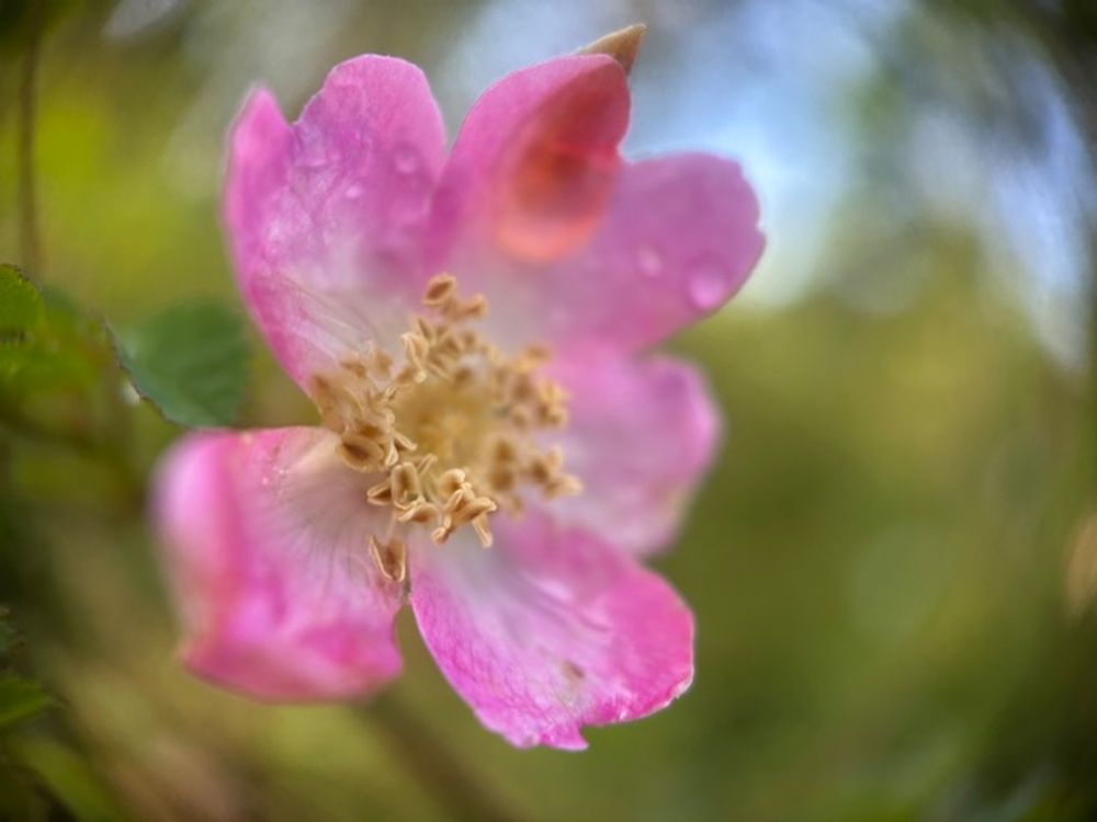 image 23