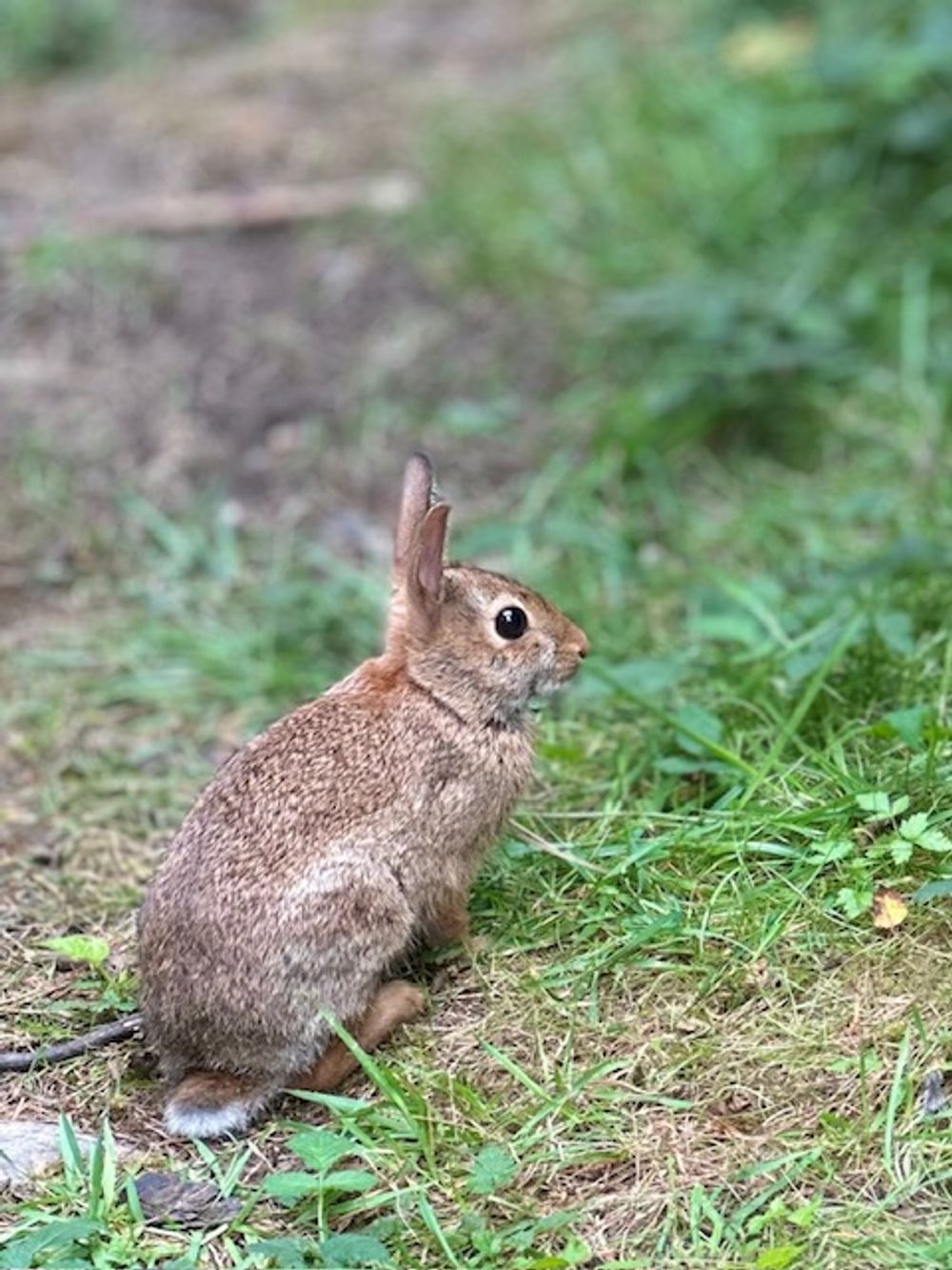 image 24