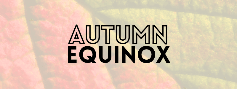 Equinox Update: somehow the hummingbird
