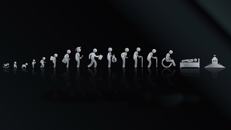 The Harsh Reality of Life