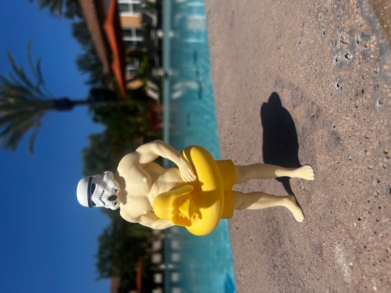 Even Stormtroopers need a vacation…
