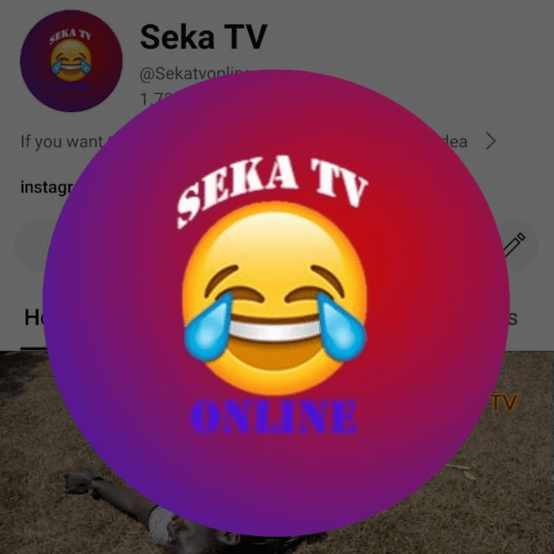 SEK TV
