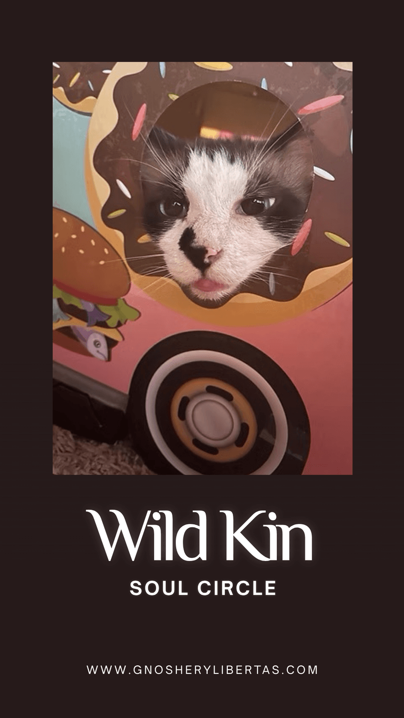 Are you ready for Wild Kin?