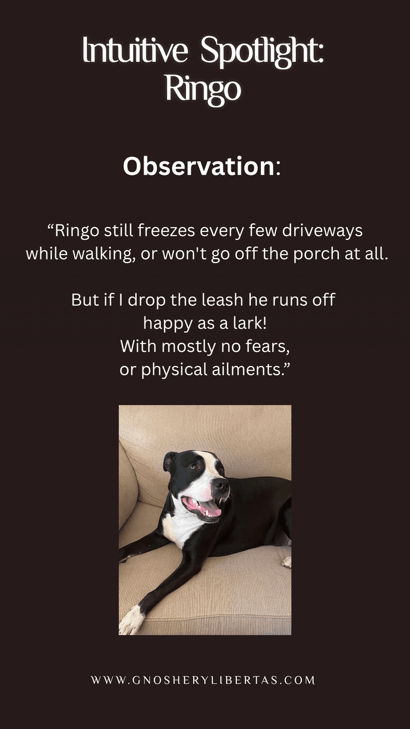 Frozen in place? Not anymore.