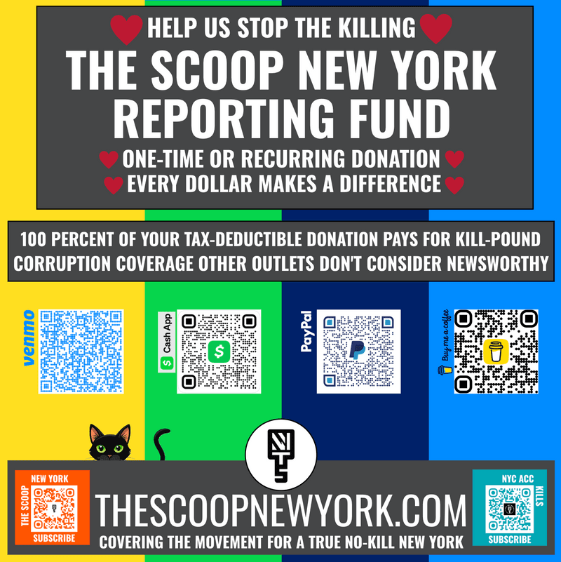 Help TSNY Save Companion Animal Lives