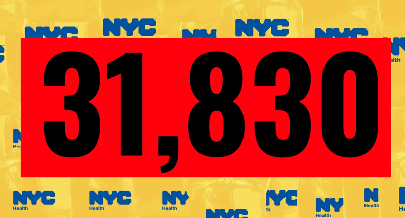 New York City Can’t Be Trusted With Retired Carriage Horses