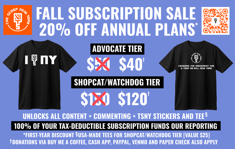 Don't Miss Our Fall Subscription Sale