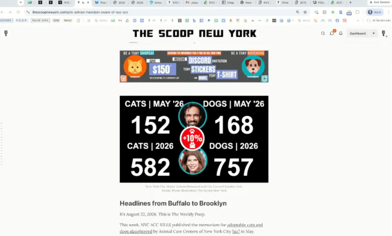 Mamdani Is Now Hiding NYC ACC Kill Data From New Yorkers