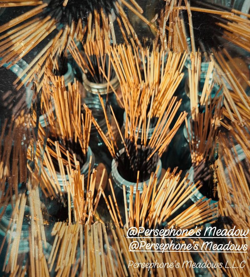 🍂Autumn/ Fall & Spooky Season Incense Fragrance Collection Available🍂