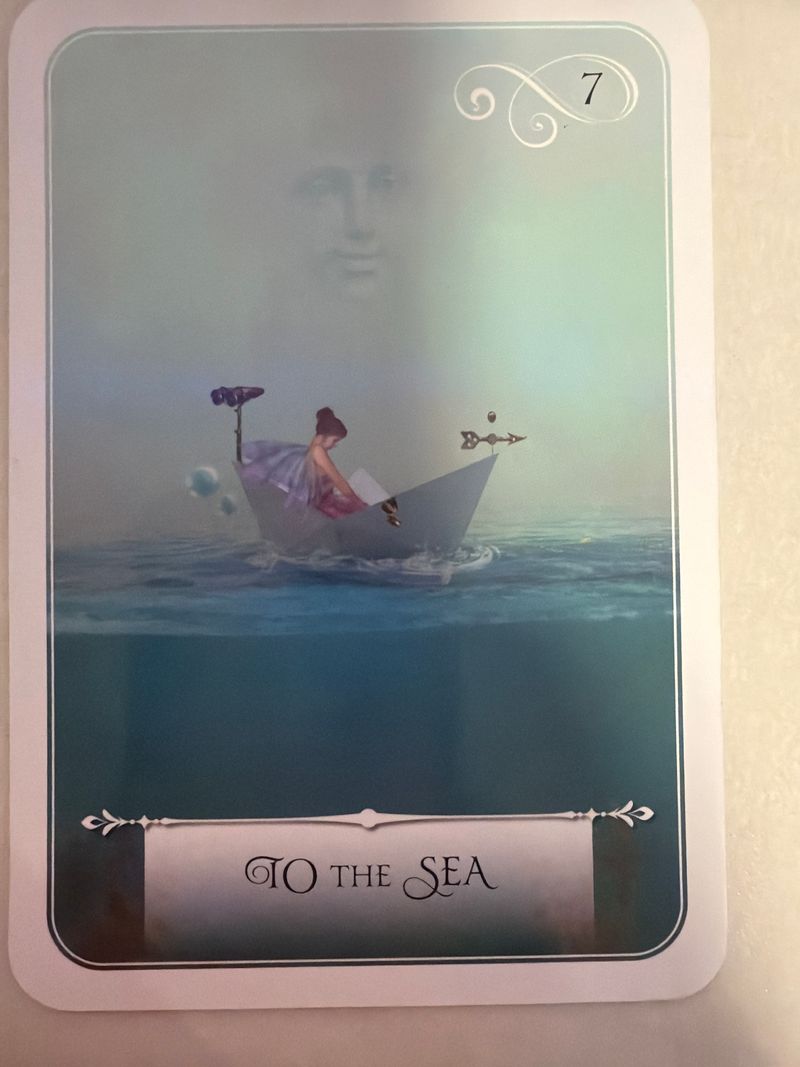 Carta -3 Card-3