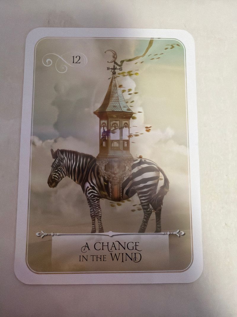Carta-7 Card-7