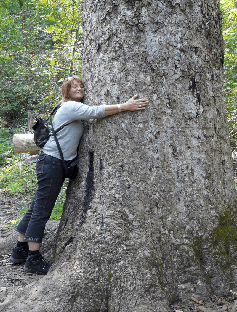 How to Hug a Tree (and Not Feel Ridiculous)