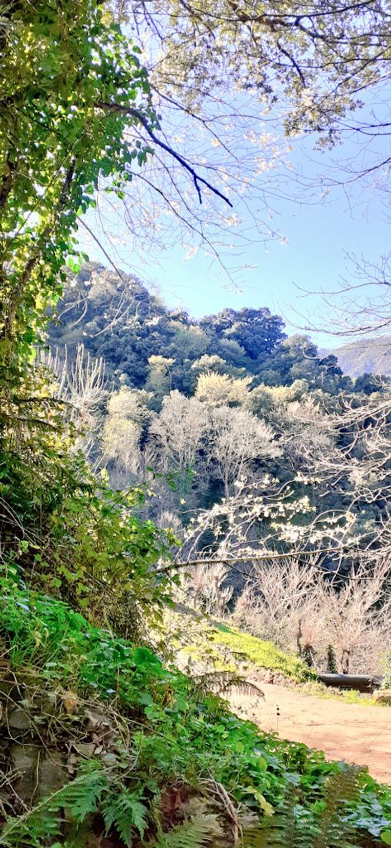 I share with you these magnificent Berber mountains