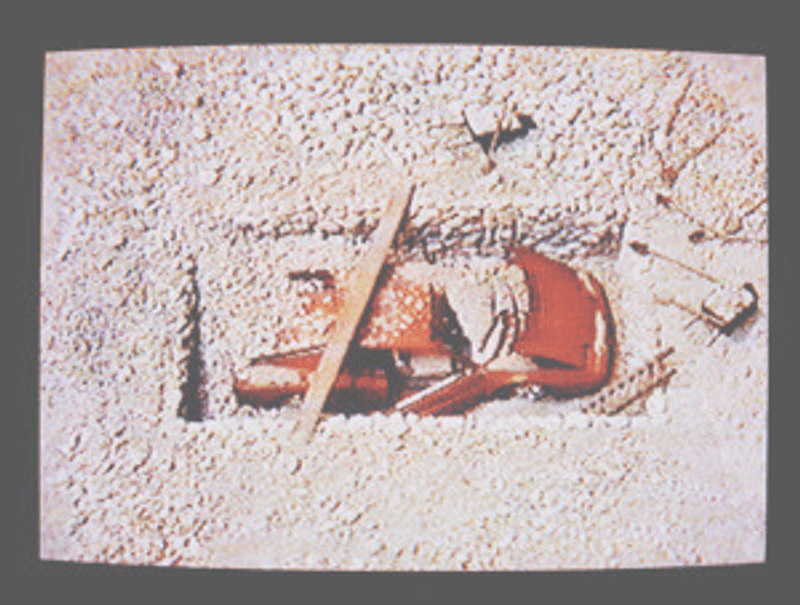 Car Burials in Ancient Time