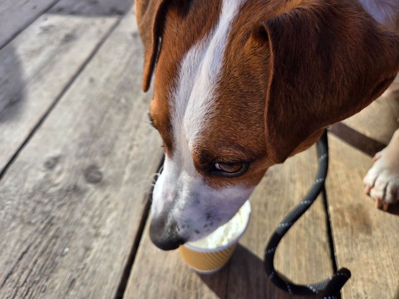 We love our coffee after a parkrun. Monty also loves his "cup of tea" (milk).