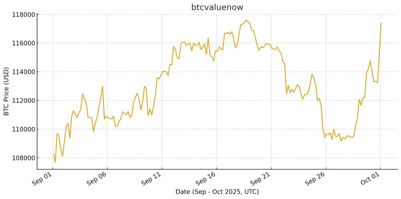 📊 Bitcoin September 2025 Chart
