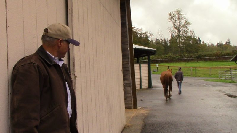 Horse Owners: Lameness Evaluations